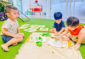 Cùng Nhau Phủ Xanh Trái Đất Một Lần Nữa